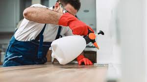 Best Pest Prevention Services  in Pine Mountain Lake, CA